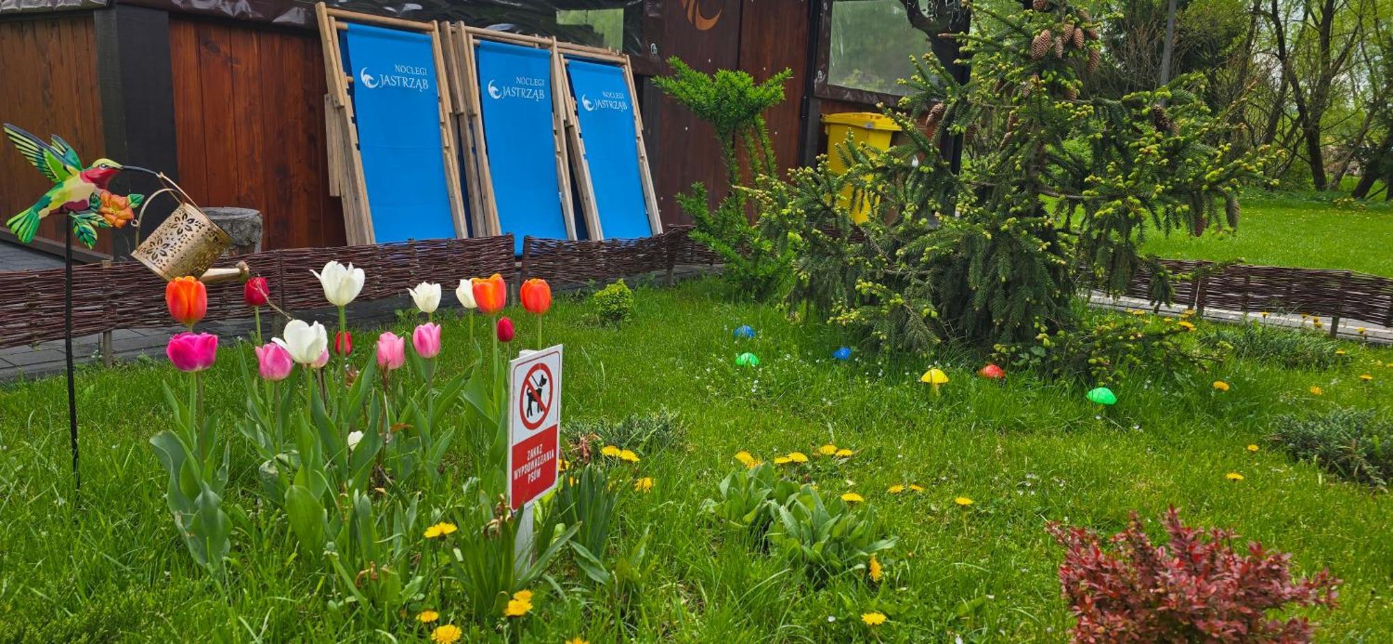Jastrzab Appartement Ropienka Buitenkant foto
